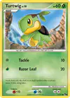 Carte Turtwig 17/17