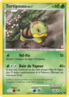 Carte Tortipouss 17/17