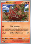 Carte Aflamanoir 019/086