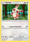 Carte Spinda 102/149