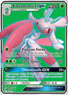 Carte Floramantis GX 138/149