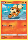 Carte Caninos 21/149