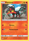 Carte Flamiaou 24/149