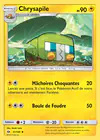 Carte Chrysapile 51/149
