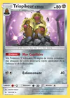 Carte Triopikeur d'Alola 122/214