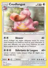 Carte Coudlangue 153/214
