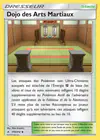 Carte Dojo des Arts Martiaux 179/214