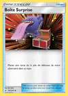 Carte Boîte Surprise 187/214