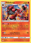 Carte Félinferno 29/214