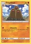 Carte Triopikeur 86/214