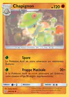 Carte Chapignon 108/236
