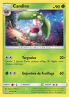 Carte Candine 18/236