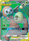 Carte Brindibou et Noadkoko d'Alola GX 214/236