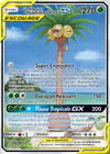 Carte Brindibou et Noadkoko d'Alola GX 215/236
