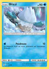 Carte Blizzi 41/236