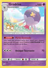 Carte Grodrive 81/236