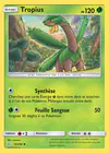 Carte Tropius 12/236