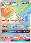 Carte Libégon GX 256/236