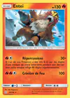 Carte Entei 28/236