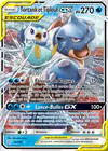 Carte Tortank et Tiplouf GX 38/236