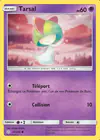 Carte Tarsal 80/236