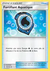 Carte Fortifiant Aquatique 119/145