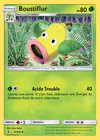 Carte Boustiflor 2/145