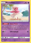 Carte Plumeline 55/145