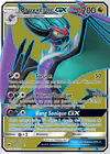 Carte Bruyverne GX 141/147