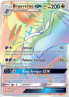 Carte Bruyverne GX 160/147