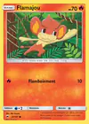 Carte Flamajou 22/147