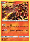 Carte Aflamanoir 24/147