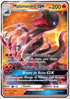 Carte Malamandre GX 25/147