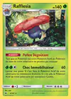 Carte Rafflesia 6/147