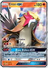 Carte Entei GX 10a/73