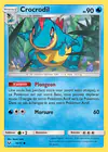 Carte Crocrodil 19/73