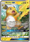 Carte Raichu GX 29/73