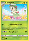 Carte Chapignon 5/73