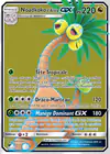 Carte Noadkoko d'Alola GX 107/111