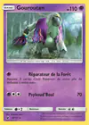 Carte Gouroutan 48/111