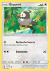 Carte Étourmi 81/111