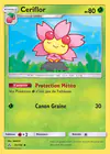 Carte Ceriflor 11/156