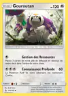 Carte Gouroutan 114/156