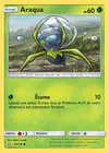 Carte Araqua 16/156