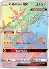 Carte Câblifère GX 160/156