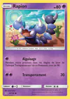Carte Rapion 54/156