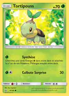 Carte Tortipouss 6/156