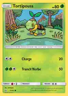 Carte Tortipouss 7/156