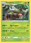 Carte Torterra 9/156