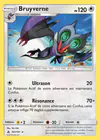 Carte Bruyverne 101/131